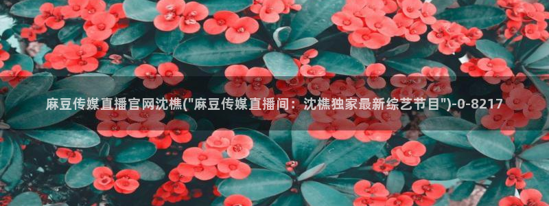 麻豆视传媒官网在哪：麻豆传媒直播官网沈樵(\