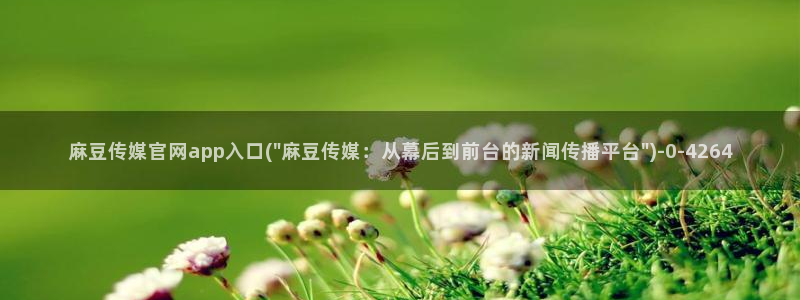 麻豆传媒官网麻豆官网md.pub