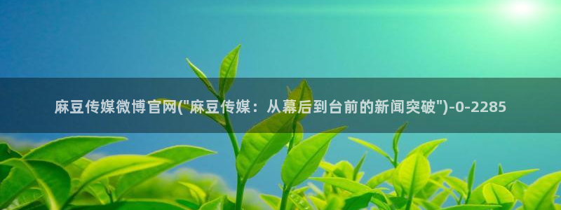 麻豆传媒官网兑换码：麻豆传媒微博官网(\