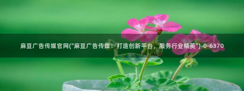 麻豆床传媒官网浸入：麻豆广告传媒官网(\