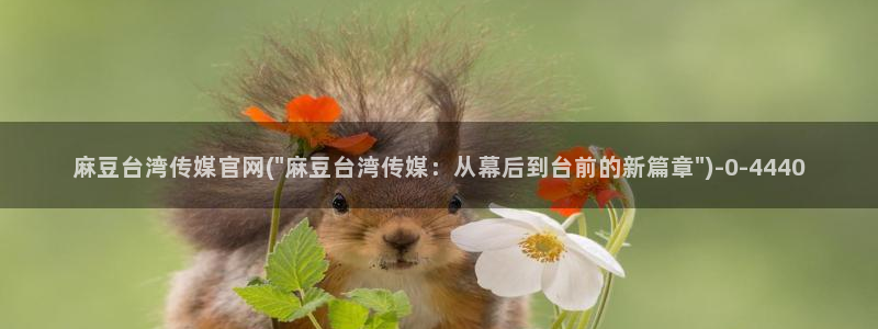 麻豆传媒avapp下载官网：麻豆台湾传媒官网(\