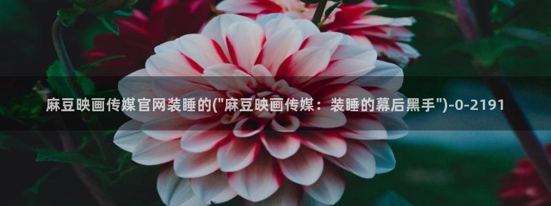 麻豆传媒系列官网：麻豆映画传媒官网装睡的(\