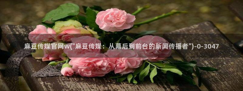 91麻豆传媒app官网：麻豆传媒官网w(\