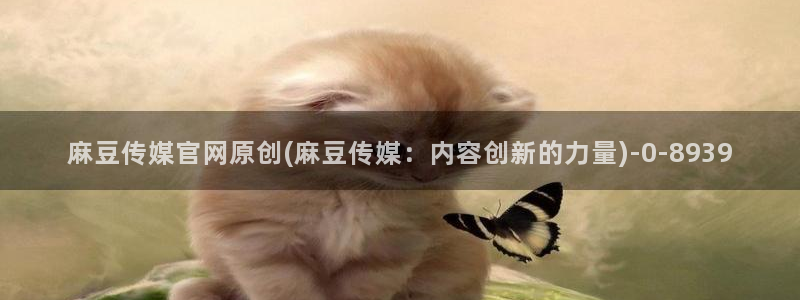 麻豆视传媒 官网入口