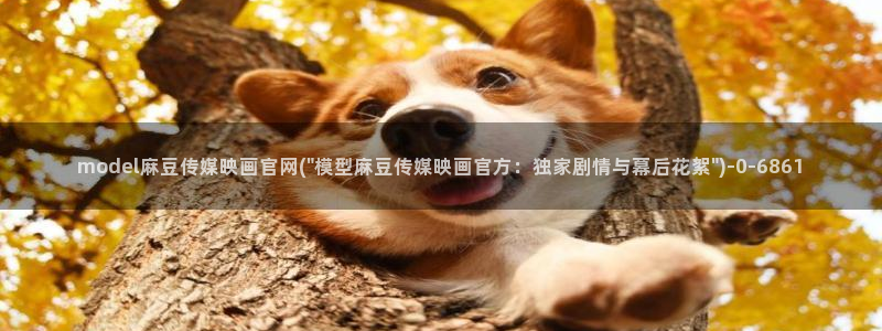 麻豆腐传媒官网：model麻豆传媒映画官网(\