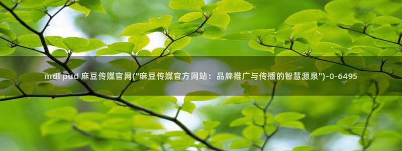 麻豆视传媒官网进入：mdl pud 麻豆传媒官网(\