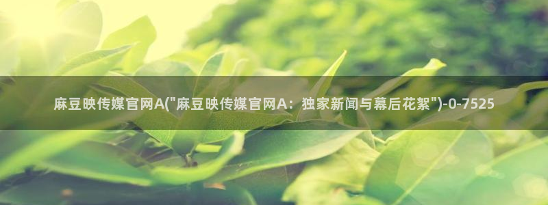麻豆传媒视频在线官网：麻豆映传媒官网A(\