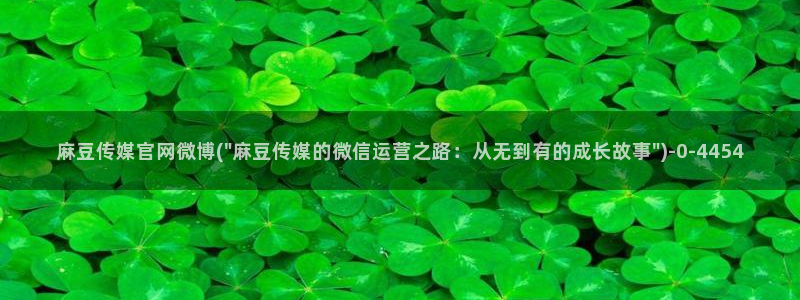 麻豆传媒md官网