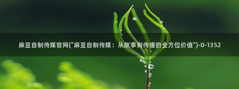 麻豆村传媒官网：麻豆自制传媒官网(\