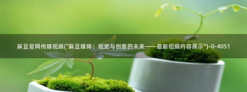 台湾麻豆传媒官网 警察