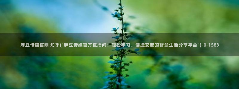 麻豆啊传媒app官网黄