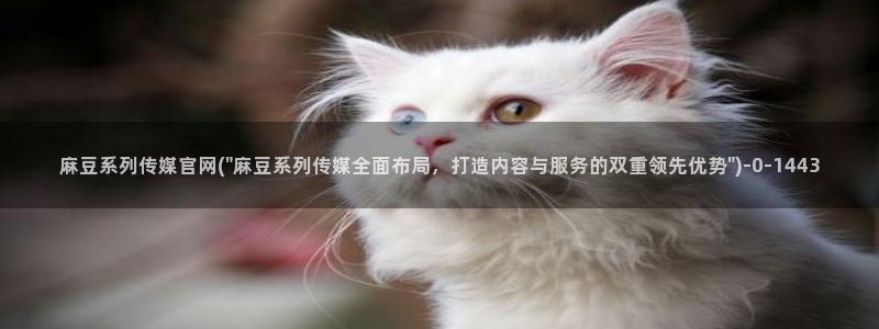 麻豆果冻传媒官网：麻豆系列传媒官网(\