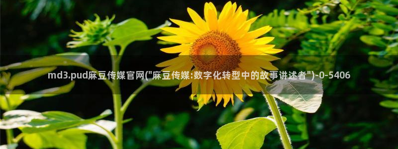 官网麻豆传媒视频