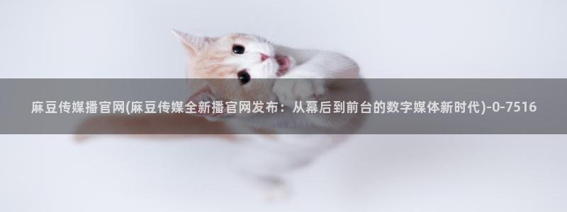 麻豆传媒官网兄妹