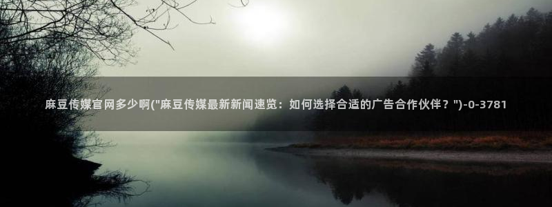 麻豆官网传媒入口