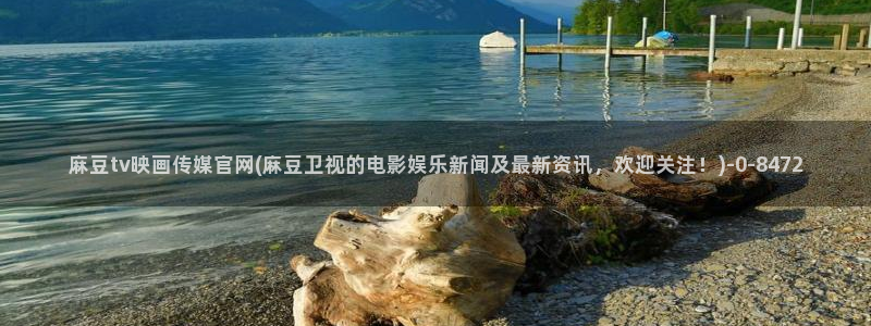 麻豆经济传媒台湾官网：麻豆tv映画传媒官网(麻豆卫视的电影娱乐新闻及最新资讯，欢迎关注！)