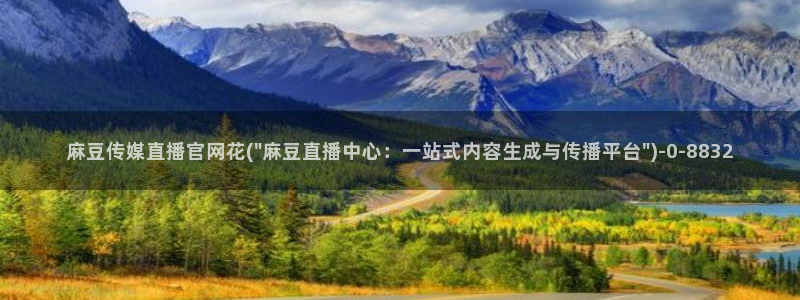 麻豆传媒官网在线观看