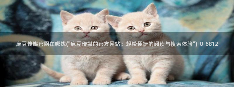 麻豆传媒官网合作app