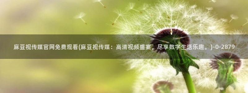 麻豆传媒官网怎么破解