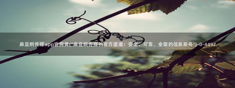 麻豆印象传媒官网